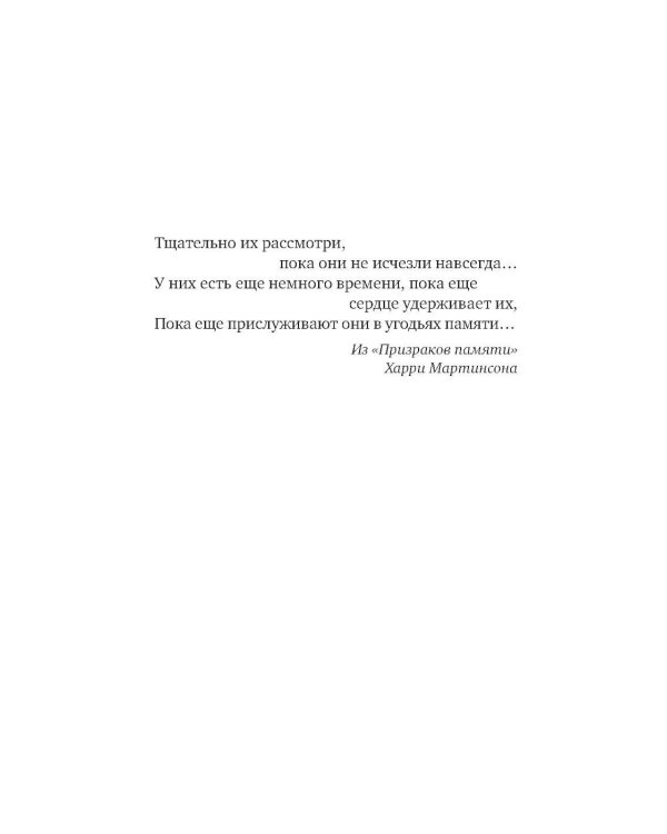 Серебряная Инна: роман