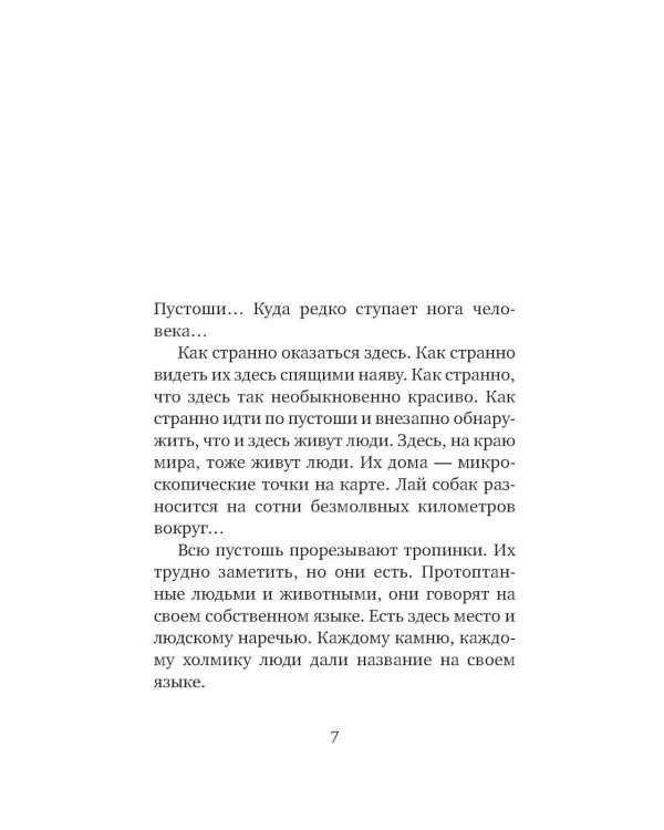 Серебряная Инна: роман