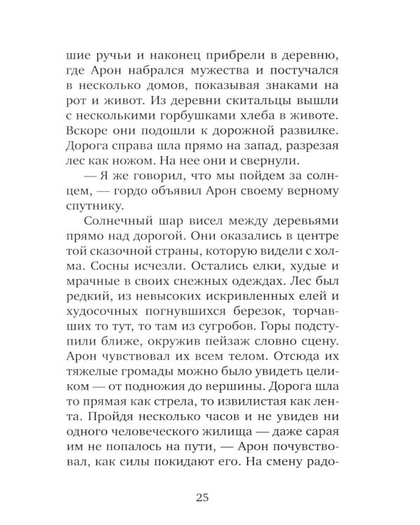 Серебряная Инна: роман