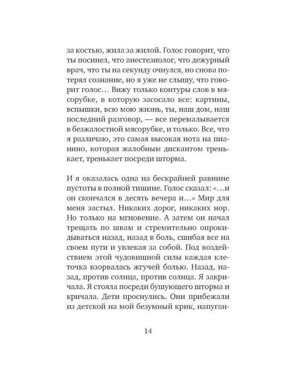 Серебряная Инна: роман