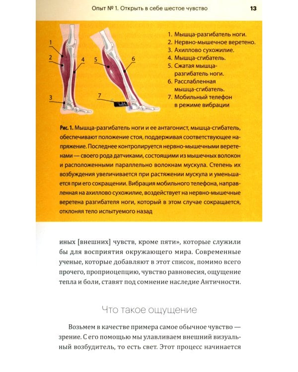 Огурец на электрическом стуле