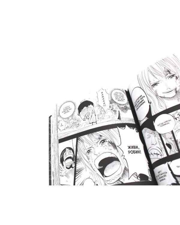 One Piece. Большой куш. 14. Пираты против СП9: Кн. 40-42: манга