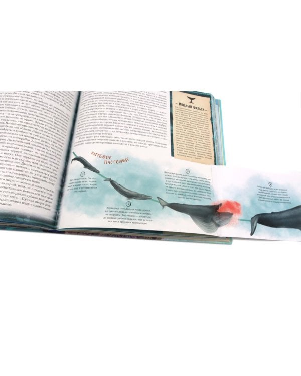 Книга-путешествие. Капитан Крузенштерн. Экспедиция "Кон-Тики" (комплект из 2-х книг)