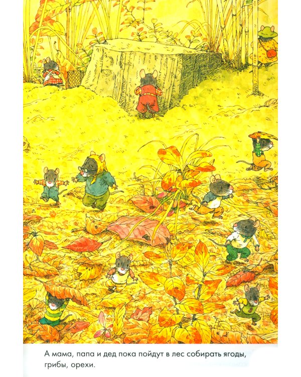 14 лесных мышей. Парад грибов