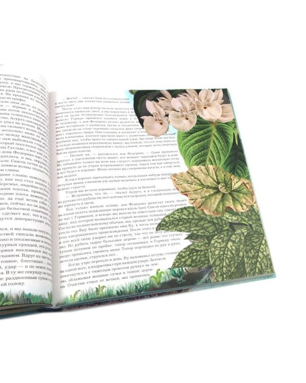 Книга-путешествие. Капитан Крузенштерн. Экспедиция "Кон-Тики" (комплект из 2-х книг)