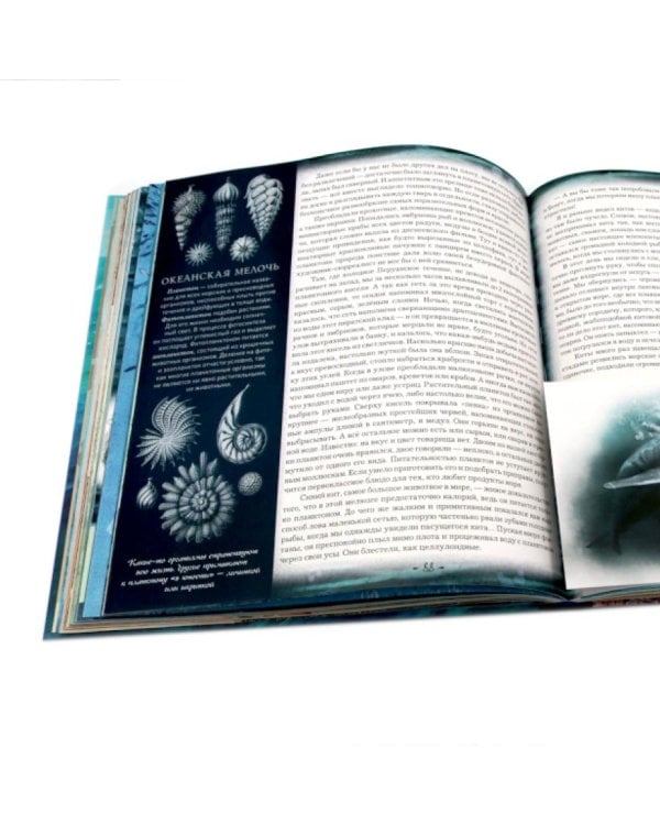 Книга-путешествие. Капитан Крузенштерн. Экспедиция "Кон-Тики" (комплект из 2-х книг)