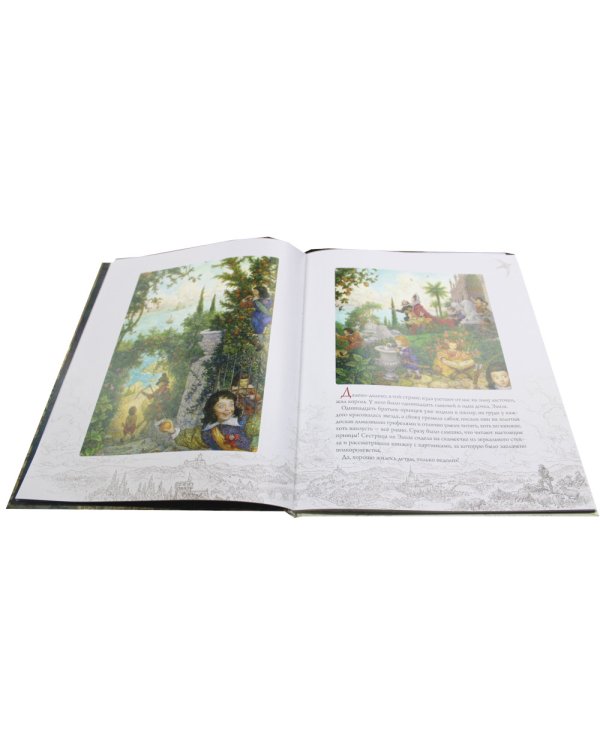 Дикие лебеди: сказка