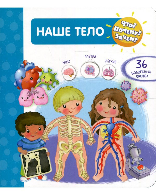 Что? Почему? Зачем? Наше тело