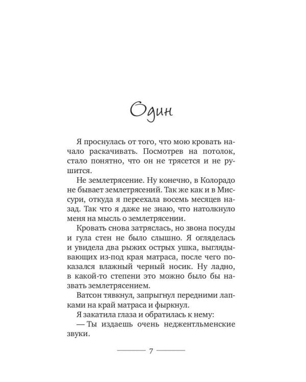 Корги-детектив: хитрые мордашки