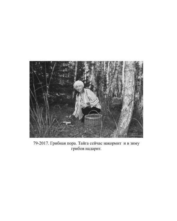 Таежные родники