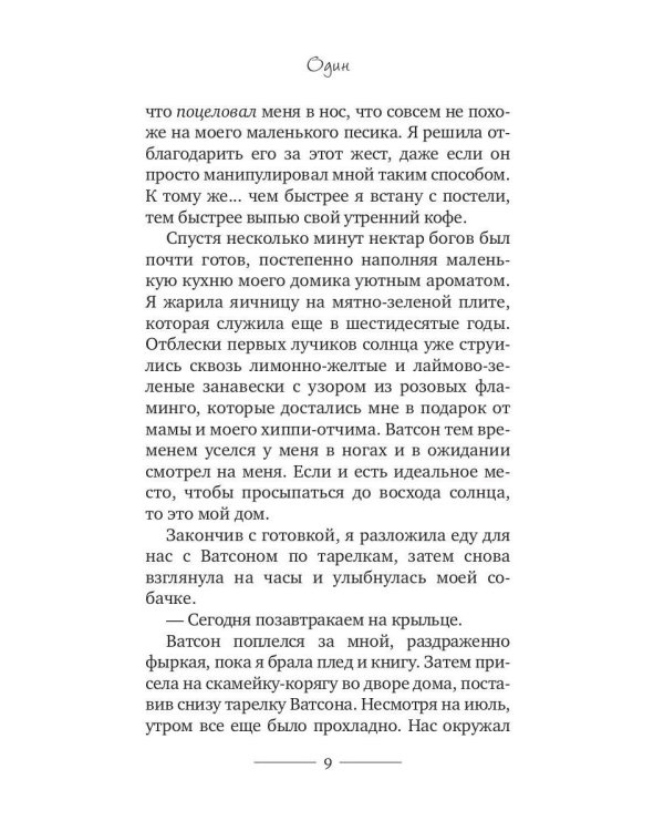 Корги-детектив: хитрые мордашки