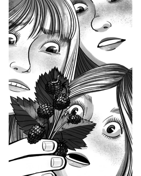 Жемчужина Адальмины. Финские сказки, снежные и уютные