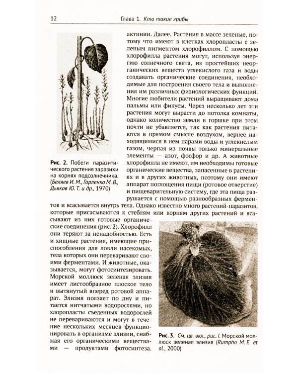 Занимательная микология. 4-е изд