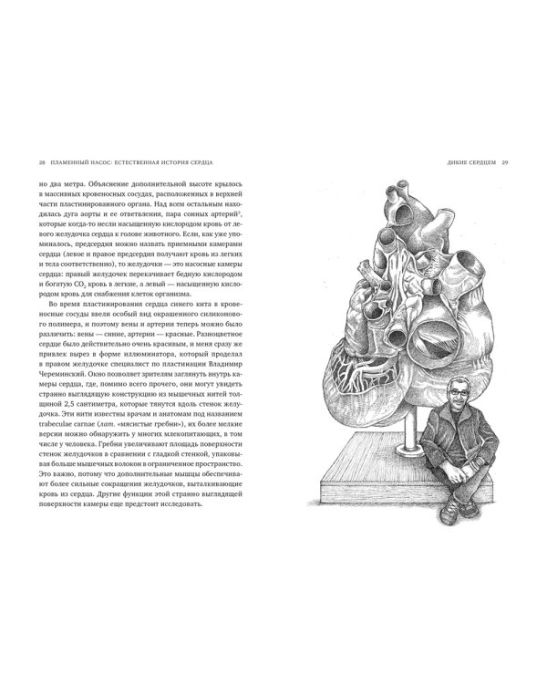 Пламенный насос. Естественная история сердца