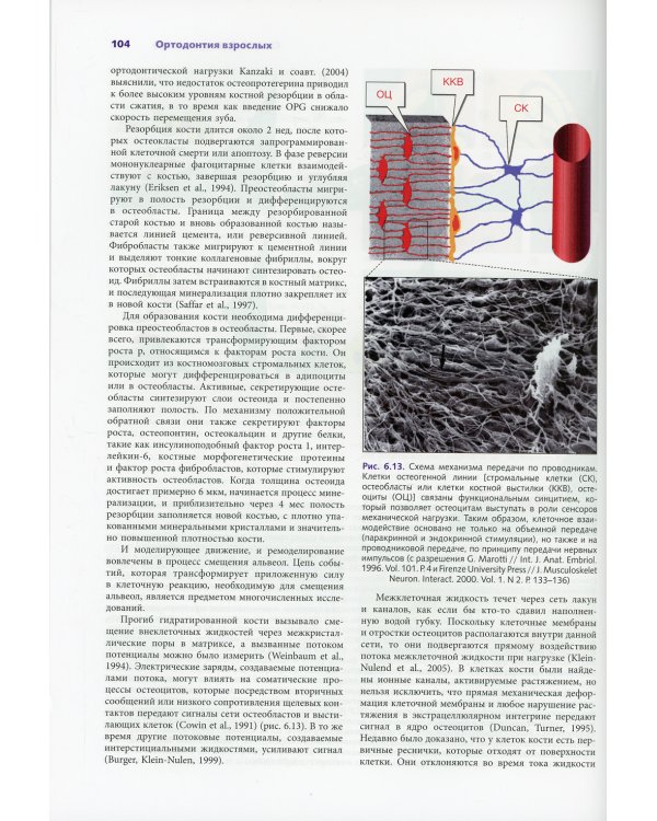 Ортодонтия взрослых
