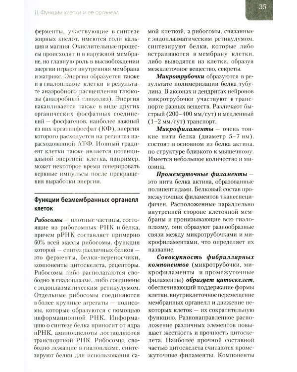 Нормальная физиология: Учебник. 4-е изд., испр. и доп