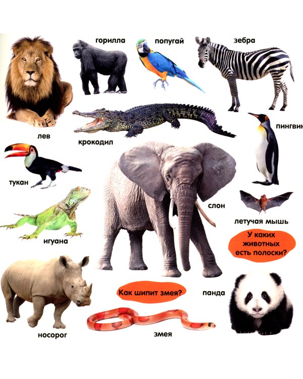 Фотокнига. Первые слова