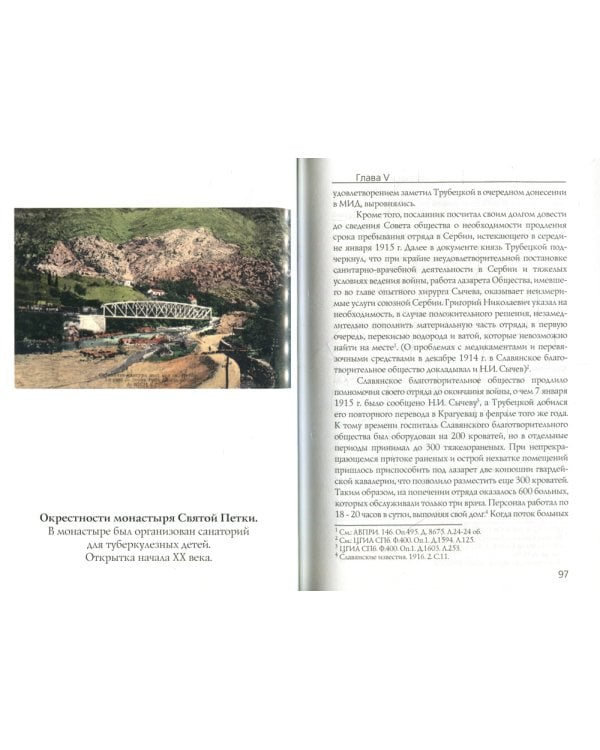 Россия и Сербия. Из истории российско-сербских отношений в годы Первой мировой войны (гуманитарный аспект)