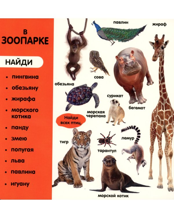 Фотокнига. Первые слова