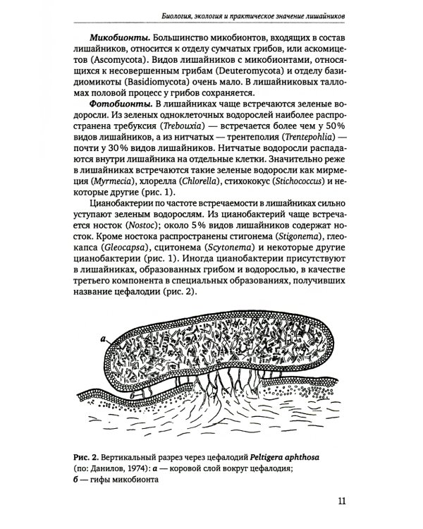 Определитель лишайников болот бореальной и тундровой зон России