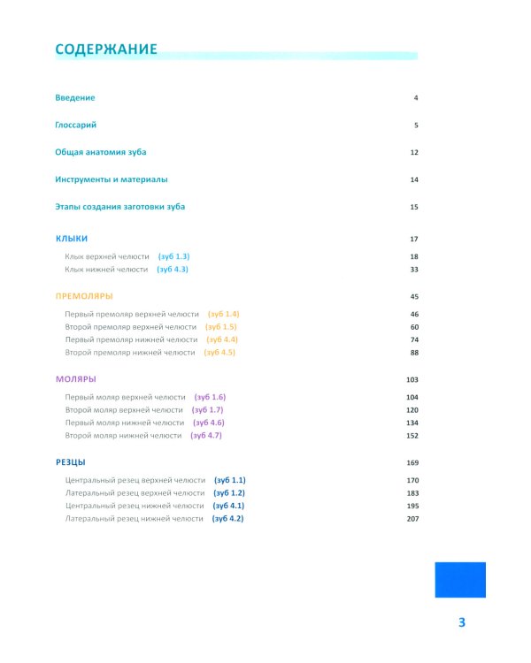 Моделирование зубов. Атлас