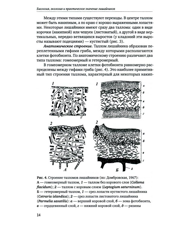 Определитель лишайников болот бореальной и тундровой зон России