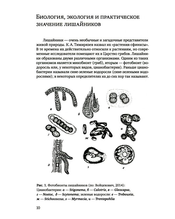 Определитель лишайников болот бореальной и тундровой зон России