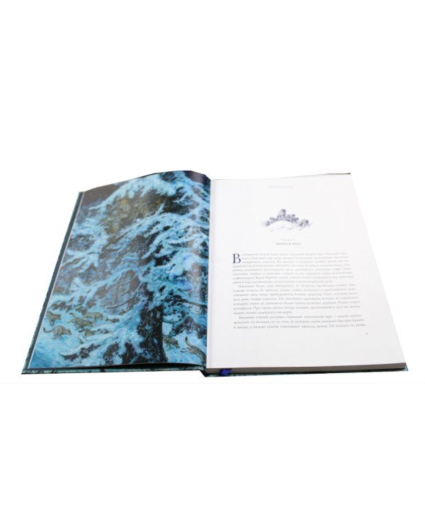 Охотники на волков. Повесть о приключениях вглуши: роман