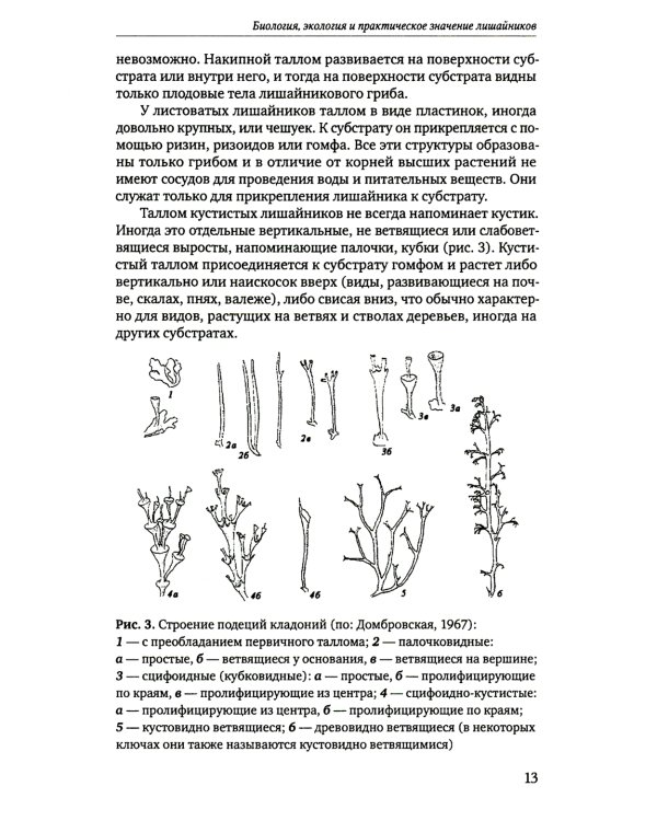 Определитель лишайников болот бореальной и тундровой зон России