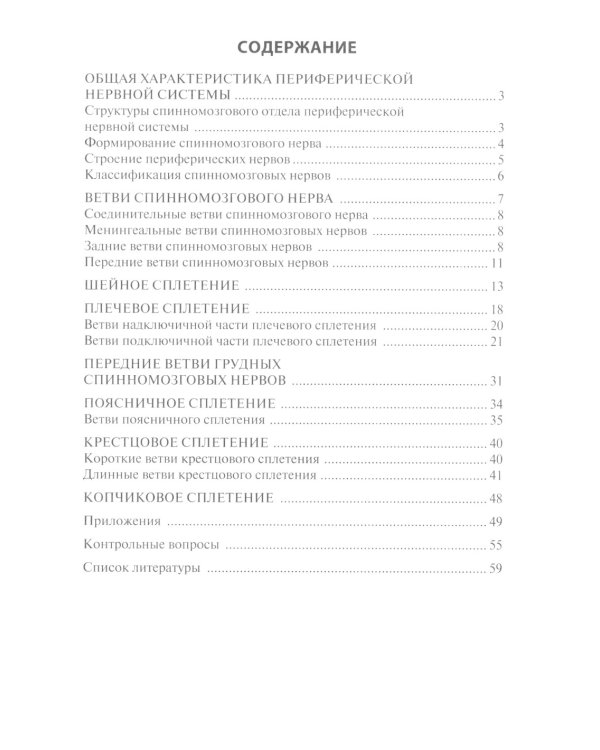 Функциональная анатомия спинномозговых нервов: Учебное пособие