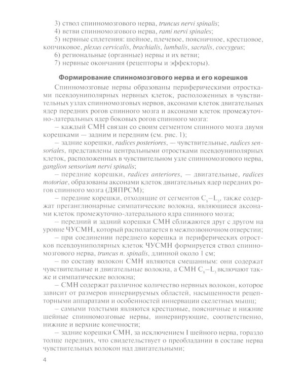 Функциональная анатомия спинномозговых нервов: Учебное пособие
