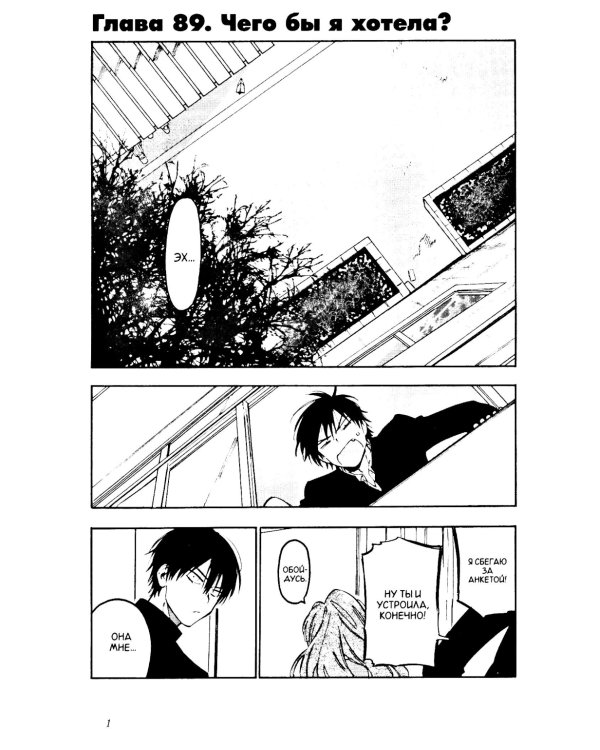 Торадора. Т. 11: манга