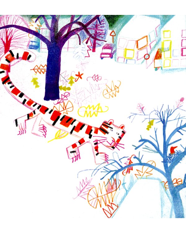 Квадратный тигр