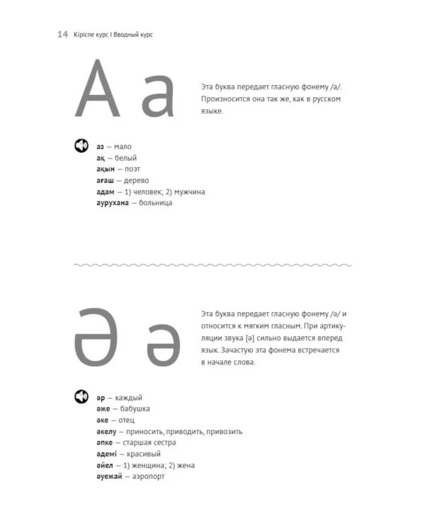 Казахский язык. Начальный курс