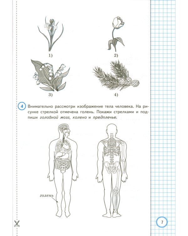 ВПР. Окружающий мир. 4 кл. 10 вариантов. Типовые задания. ФГОС Новый