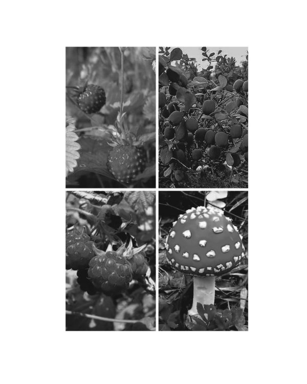 Созвездие Лев. Роман-антиутопия