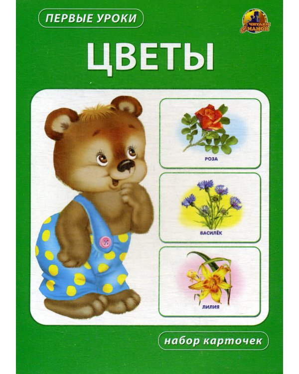 Цветы. Набор карточек