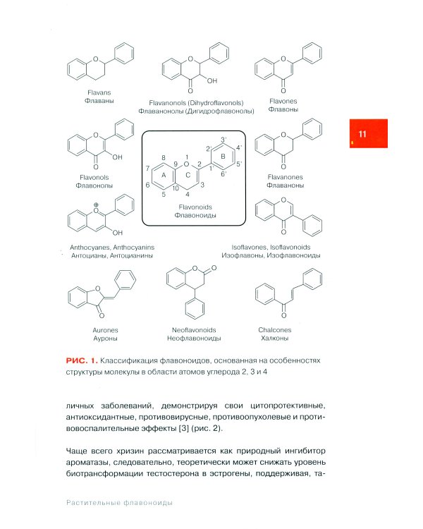 Природные бустеры тестостерона
