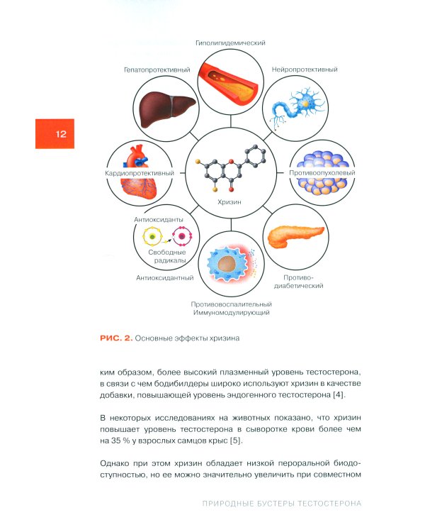 Природные бустеры тестостерона