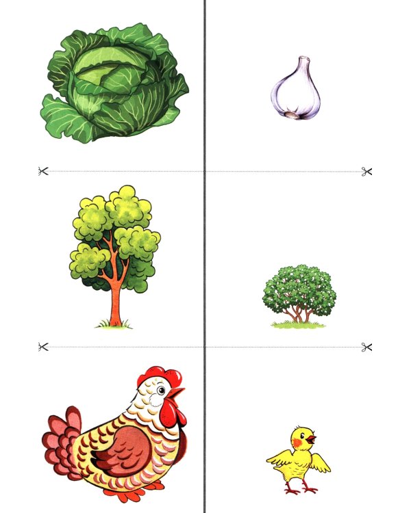 Формирование элементарных математических представлений у дошкольников 4-5 лет. Разрезной раздаточный материал