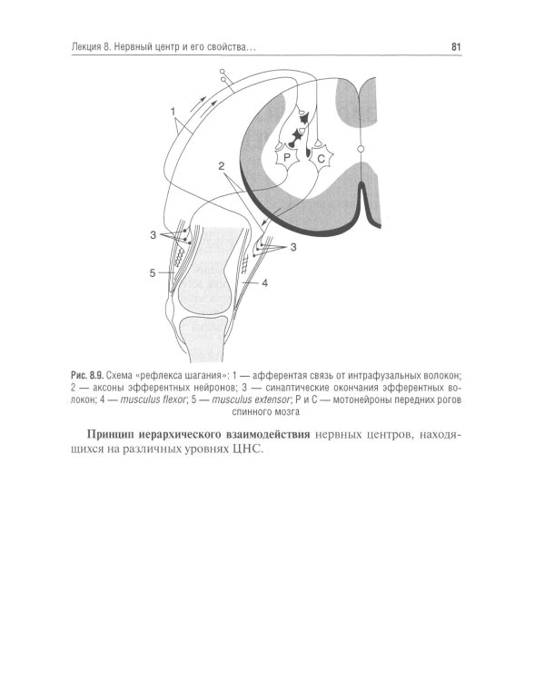 Избранные лекции по нормальной физиологии = Selected Lectures on Normal Physiology: Учебное пособие на рус. и англ.яз