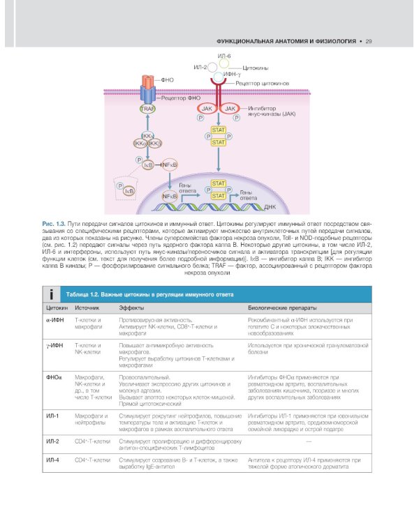 Внутренние болезни по Дэвидсону: В 5 т. (комплект)