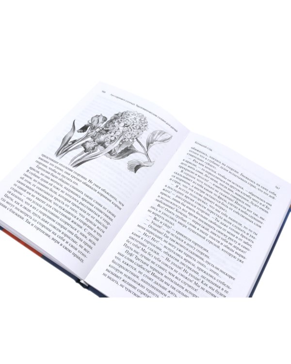 Луч горячего солнца. Терапевтические сказки для детей + Сказочные истории глазами психотерапевта (комплект из 2-х книг)