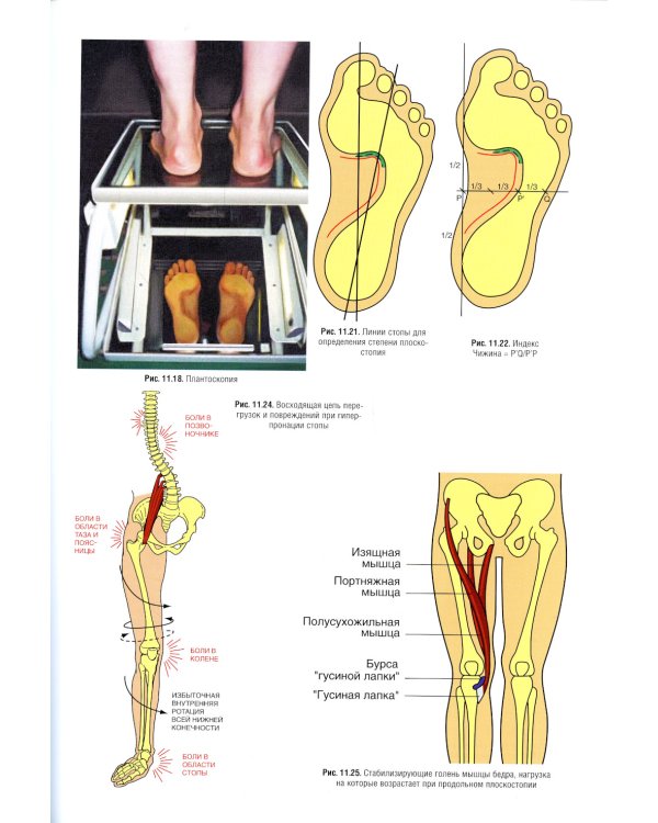 Спортивная медицина. Национальное руководство. 2-е изд., перераб.и доп