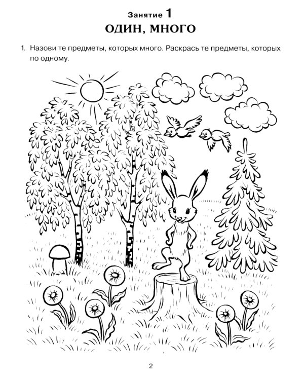 Формирование элементарных математических представлений у дошкольников 4-5 лет. Рабочая тетрадь 1-го года обучения