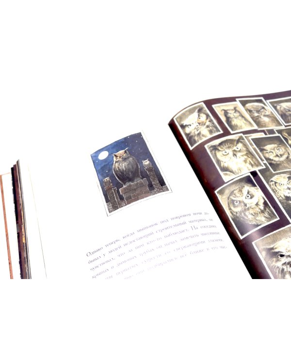 Армстронг; Линдберг; Эдисон; Эйнштейн; Эрхарт (комплект из 5-ти книг)