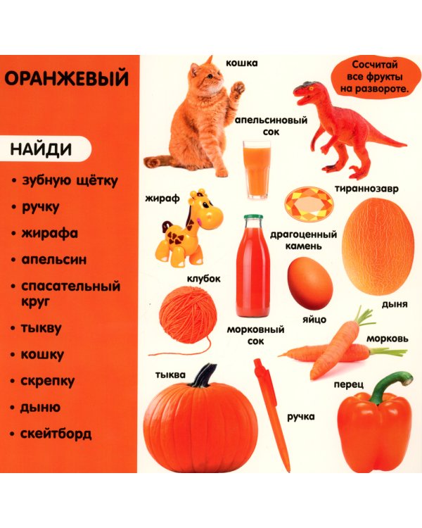 Фотокнига. Цвета. Более 240 новых слов