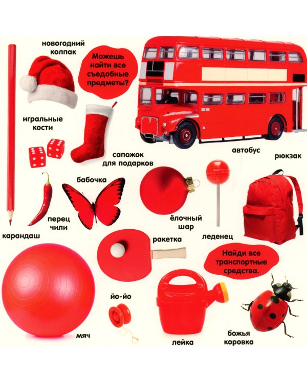 Фотокнига. Цвета. Более 240 новых слов