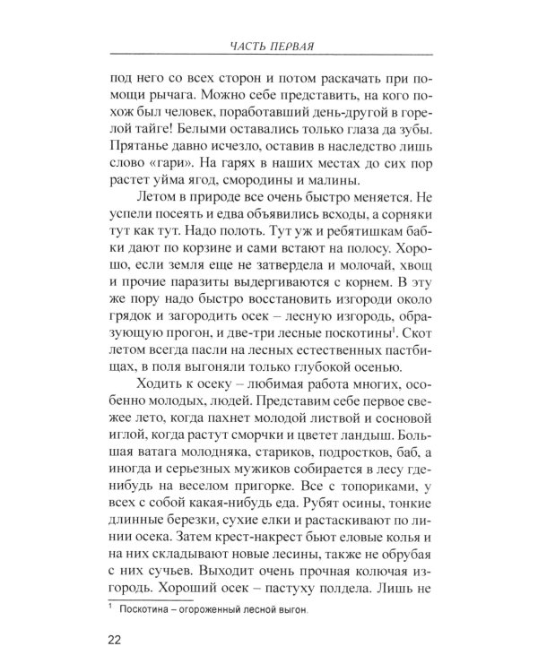 Лад. Повседневная жизнь Русского Севера