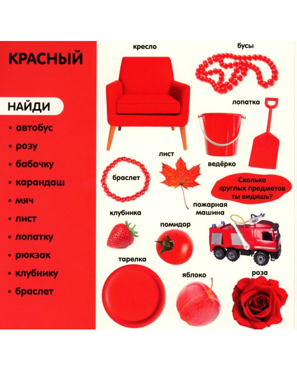 Фотокнига. Цвета. Более 240 новых слов